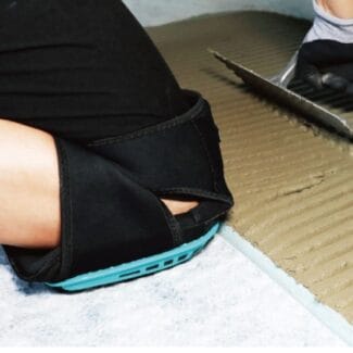 Bihui epigonatides TKPT..