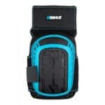 Bihui epigonatides TKPT...