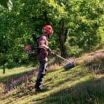 Oleomac thamnokoptiko BCH500BP...