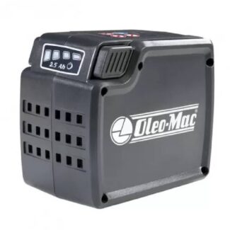 Oleomac bataria 40V 25 Ah 1