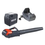 Oleomac fisitiras batarias BVI60 standard kit